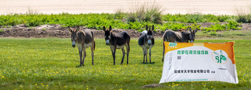 使用壽命長(zhǎng)